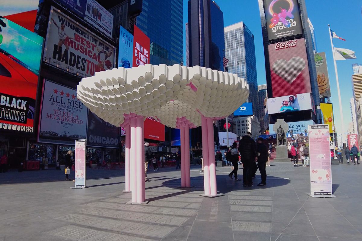 Walking from Times Square to Central Park Video Guided Steps More