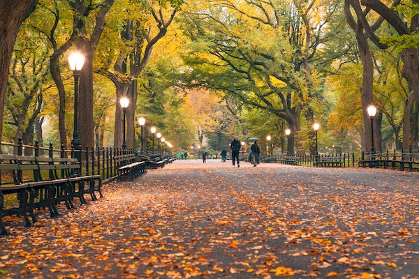 people walking in central park after vising times square in nyc | Better Together Here