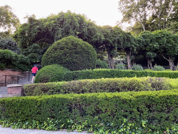 beautiful shrubs and staircase in the conservatory garden in central park | Better Together Here