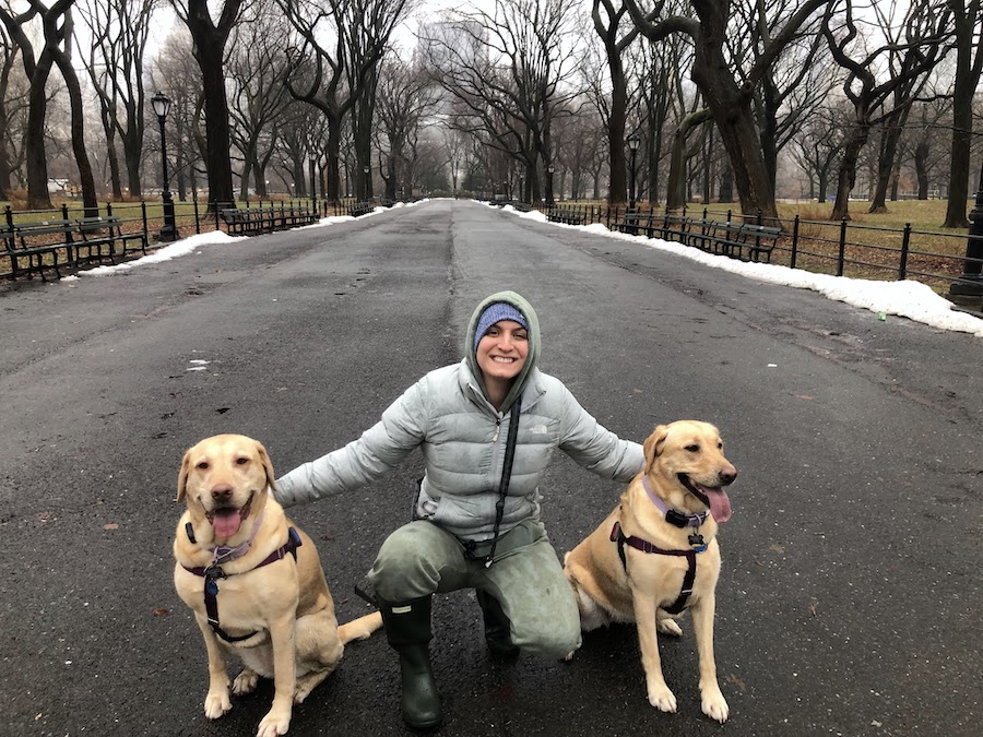 view of the mall central park in the winter | Better Together Here 