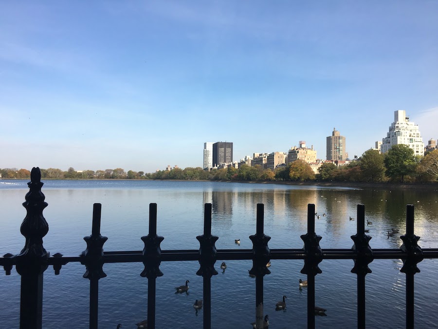 view of the jacqueline kennedy onassis reservoir | Better Together Here 