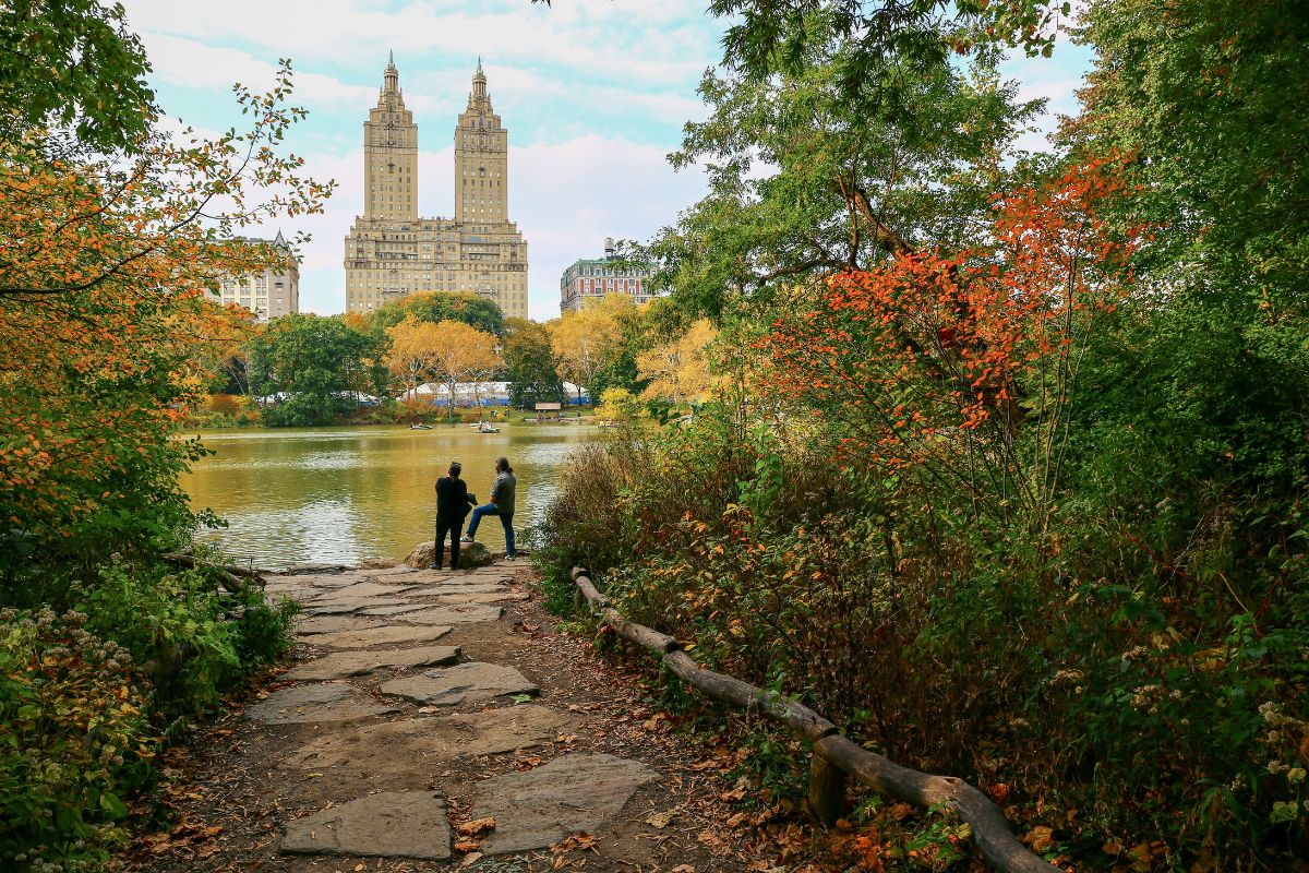Best Central Park Picnic Spots Where To Find Picnic Benches