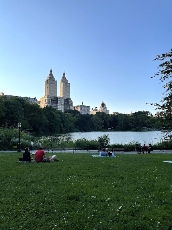 Picnics in Central Park