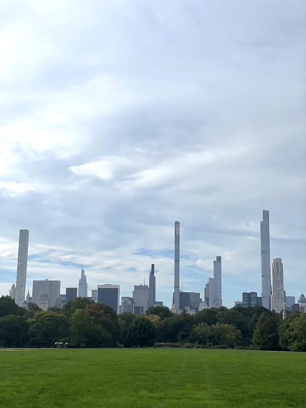 beautiful midtown skyline view from the great lawn in central park | Better Together Here 
