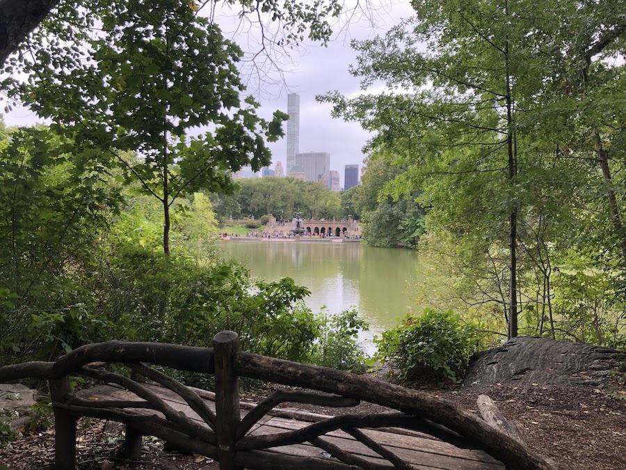 beautiful view of bethesda fountain from the ramble in central park which also makes a great picnic spot | Better Together Here