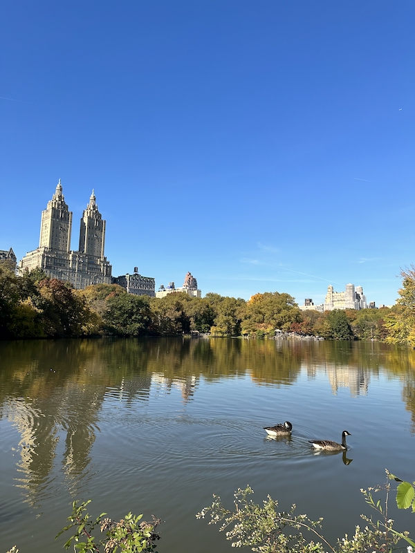 fall view of upper west side taken at cherry hill | Better Together Here 