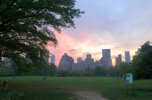 when does sheep meadow open in central park | Better Together Here