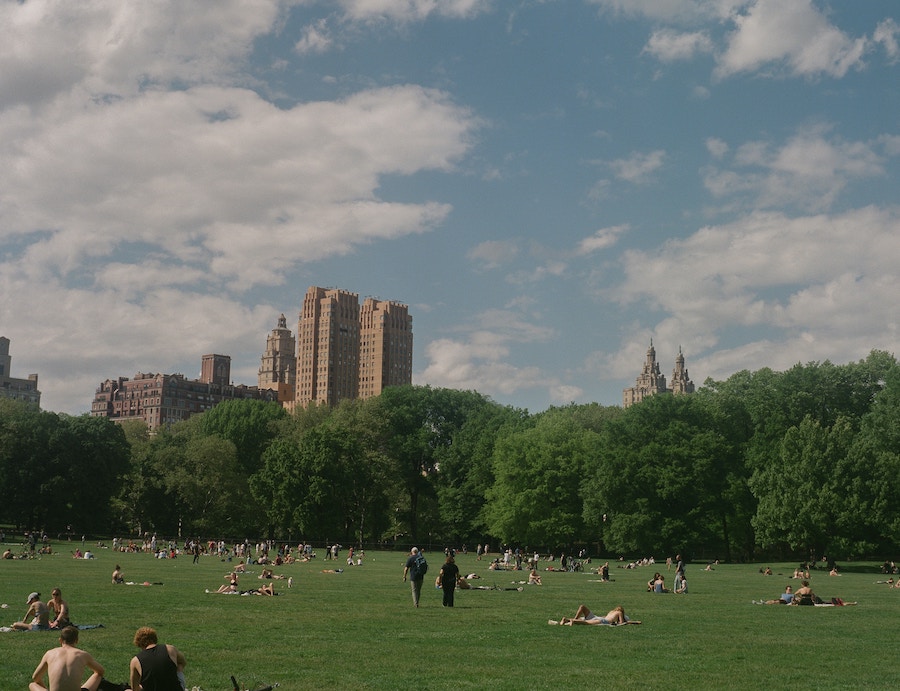 view of people enjoying sheep meadow on a sunny day | Better Together Here