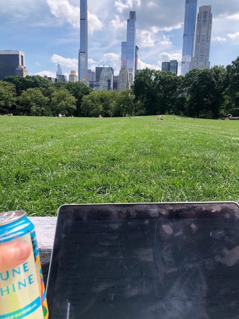 working with a view of skyline from sheep meadow in nyc | Better Together Here