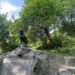 balto statue in central park | Better Together Here