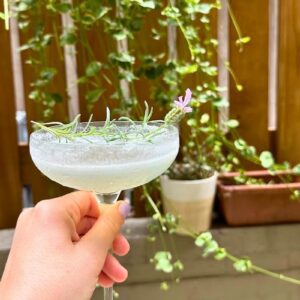 lavender haze cocktail recipe in hand | Better Together Here