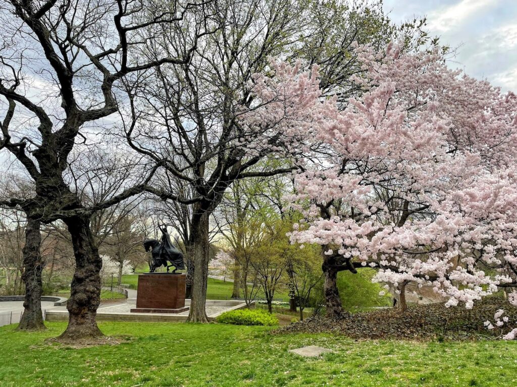 walking is the best way to get around central park | Better Together Here