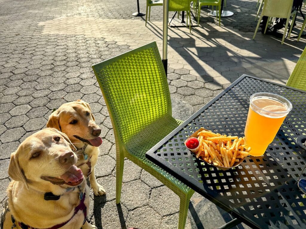 beer and fries at pier i cafe | Better Together Here
