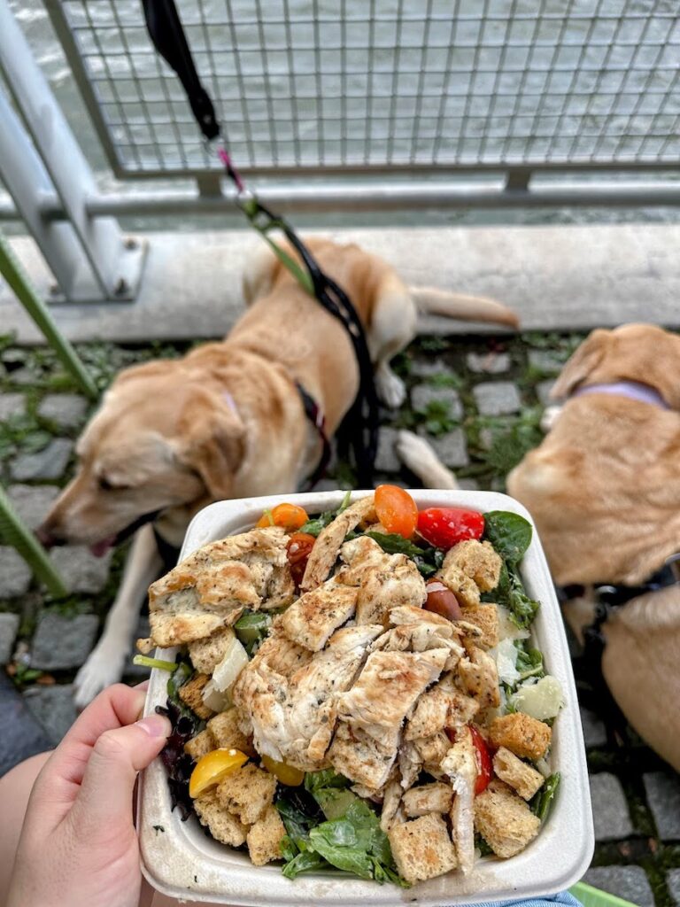 chicken salad at pier i cafe | Better Together Here