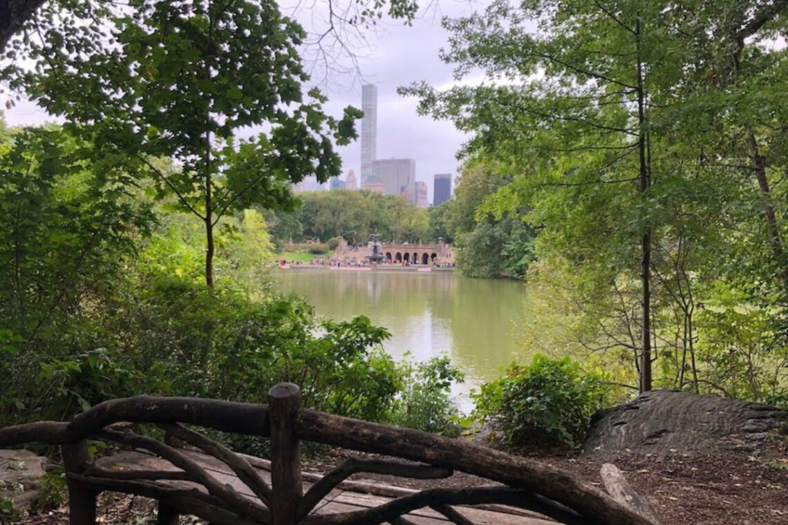 3 Central Park Hidden Gems You Can't Afford to Miss | Better Together Here