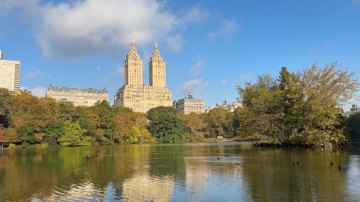 central park fall colors with a view of upper west side buildings | Better Together Here