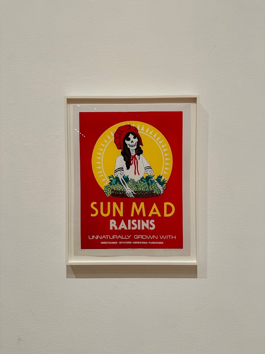 MoMA Quick Guide: Read Before Going to the Museum of Modern Art in NYC