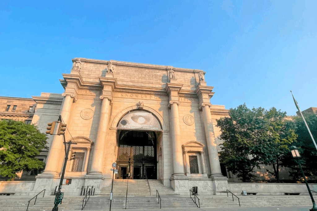 American Museum of Natural History NYC What to See, Costs & Tours | Better Together Here