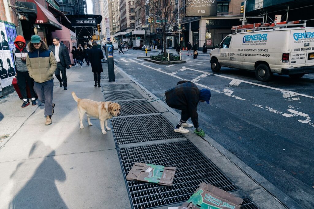 a man in new york city picking up his dogs poop | Better Together Here